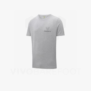 Camiseta Vivobarefoot Rapanui Naturally Coloured T-shirt Masculino Cinzentas | BR279TL