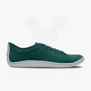 Lifestyle Shoes Vivobarefoot Addis Masculino Verdes | BR312MM