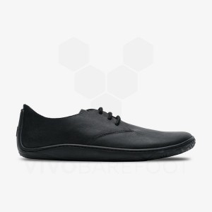 Lifestyle Shoes Vivobarefoot Addis Oxford Masculino Pretas | BR297BA