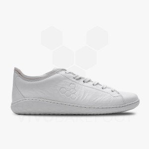 Lifestyle Shoes Vivobarefoot Geo Court III Masculino Branco | BR316IR