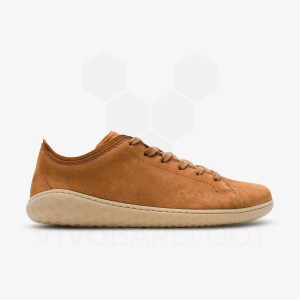 Lifestyle Shoes Vivobarefoot Geo Court III Feminino Marrom | BR148UK