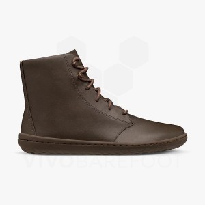 Lifestyle Shoes Vivobarefoot Gobi HI IV Feminino Cafes | BR118YF