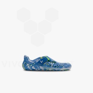 Sapatos Vivobarefoot Ultra Bloom Preschool Criança Azuis Luz Turquesa | BR050OB